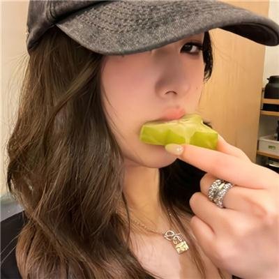 藏獒情未了